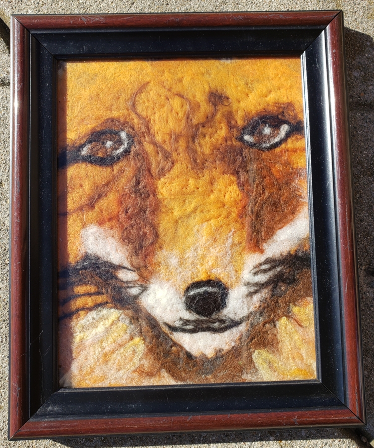 Red fox face